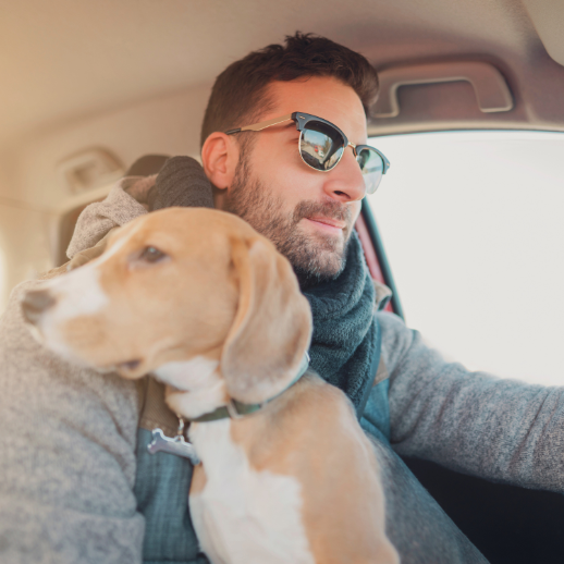 Mann fährt Auto mit einem Hund auf dem Schoß